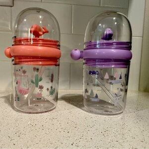 2 Kid size water bottles with silly straw